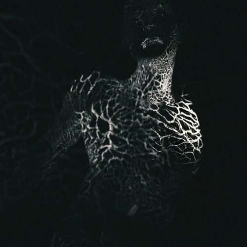 Ulcerate : To Flow Through Ashen Hearts